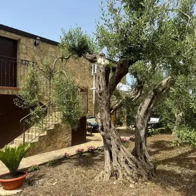 Le Casette di campagna #2