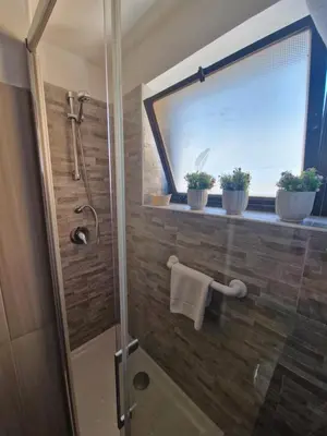 a shower with a window and two potted plants in a bathroom at Claudio House Palermo in Palermo
