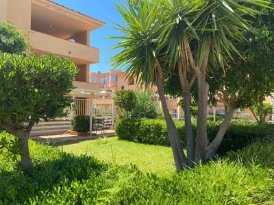 a palm tree in a yard next to a building at Reef Mondello Apartment in Palermo
