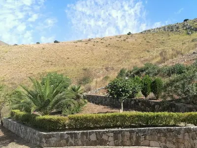a stone retaining wall with plants on a hill at Villa Francesca in Castelluzzo