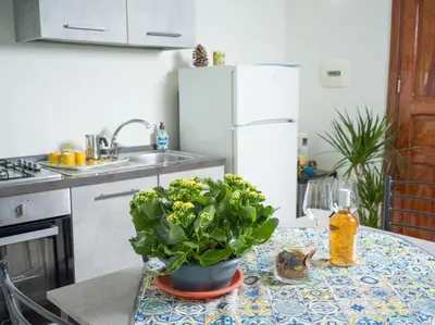 a kitchen with a table with a potted plant on it at Isola delle Femmine - Casetta del Pescatore in Isola delle Femmine