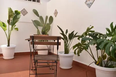 a room with three potted plants and a chair at Kanat Apartment in Palermo