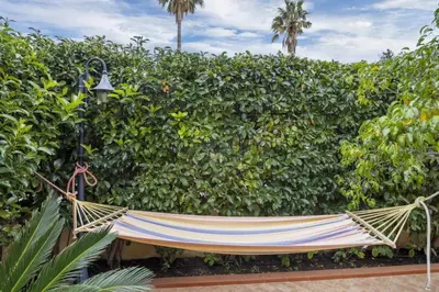 a hammock in front of a hedge at alloggio in Palermo