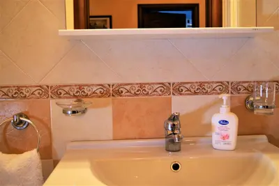 a bathroom sink with a bottle of soap on it at la Maison 