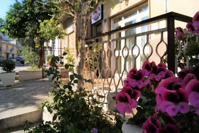 a bunch of purple flowers in front of a fence at B&B Oleaster - Bolognetta in Bolognetta