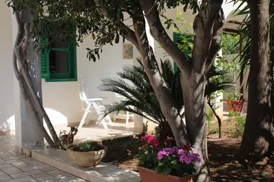 a garden with flowers in pots and a tree at Da Silvia, a due passi dal mare in San Vito lo Capo