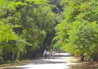 a group of people walking down a tree lined road at Solemar Sicilia - Casa Markiz in Palermo