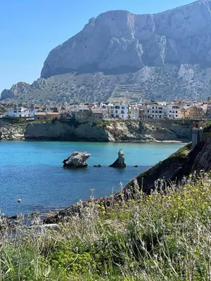 a body of water with a city and a mountain at FLA' Suite Deluxe in Terrasini