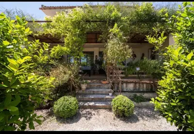 a house with a bunch of plants in the yard at VILLA AZUL in Castellammare del Golfo