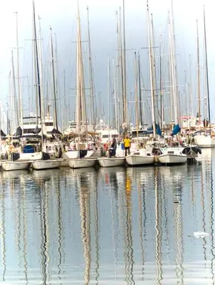 a bunch of boats docked in a harbor at Casa Anita In centro in Palermo