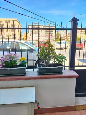 two potted plants sitting on a ledge on a balcony at Ciuridda mia in Palermo