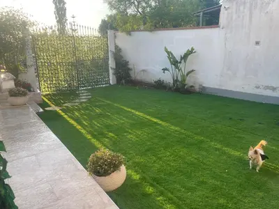 a dog running through a yard with a fence at Villa Vittoria in Trappeto