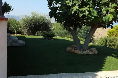 a tree sitting in the middle of a lawn at VILLA FLAMINIA - con piscina privata in San Vito lo Capo