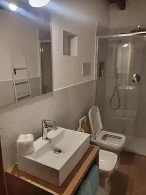 a bathroom with a sink and a toilet and a shower at Patrizia Chic in Palermo