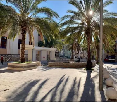 a group of palm trees in front of a building at Campofelice Happy Casa in Campofelice di Roccella