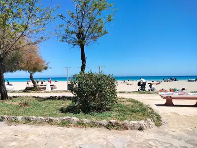 a beach with a tree and people on the beach at La Casa di Anna, Mondello in Palermo