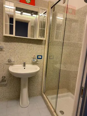a bathroom with a sink and a shower at Il Canto di Euterpe in Palermo