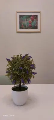 a plant in a white pot sitting on a table at La Casa All'Angolo in Altavilla Milicia