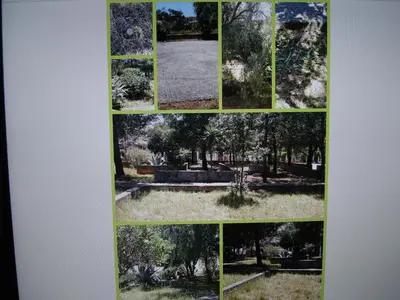 a collage of four photos of a garden at Aurora e Andrea San Vito lo Capo in San Vito lo Capo