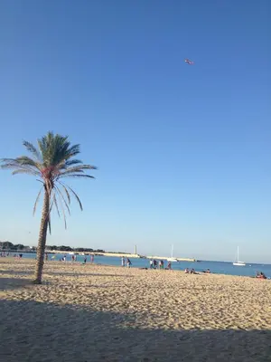 a palm tree on a beach with people on it at Aurora e Andrea San Vito lo Capo in San Vito lo Capo