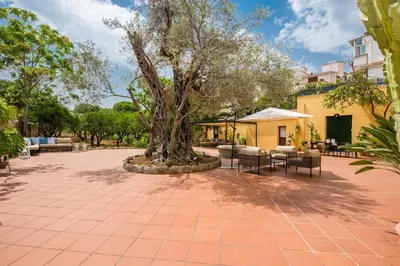 a tree in a courtyard with tables and chairs at Villa Ammirata Mondello by Wonderful Italy in Mondello