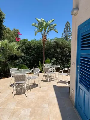 a patio with tables and chairs and a palm tree at Villa La Palmetta a San Vito lo capo in San Vito lo Capo