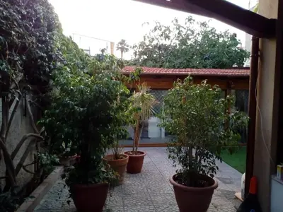 a group of potted trees in pots on a patio at Loft Mondello Beach in Palermo