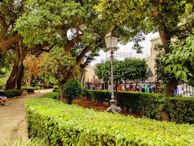 a street light in a park with bushes and trees at Domus Vetriera in Palermo