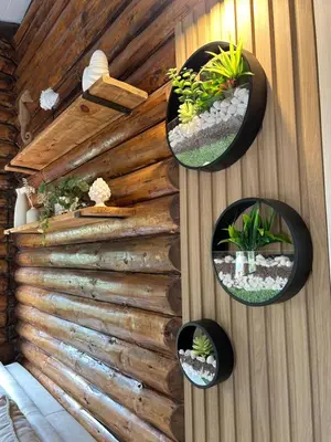 a wall with four plants in pots on it at Chalet Seaview by AR Group Hotels in Isola delle Femmine