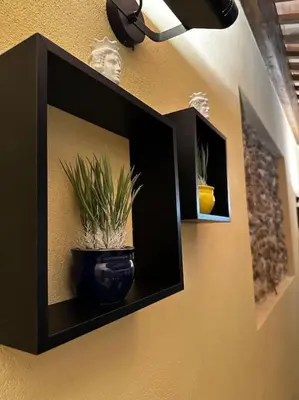 a wall with two black shelves with a potted plant at Carmine House in Monreale