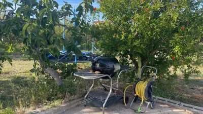 a grill sitting on a chair under an apple tree at Villetta indipendente a Balestrate in Balestrate