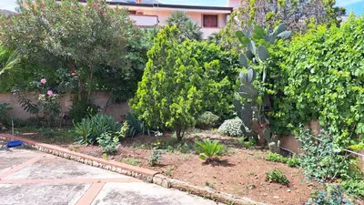 a garden with cacti and other plants and trees at Villa Alba in Mandra Capreria
