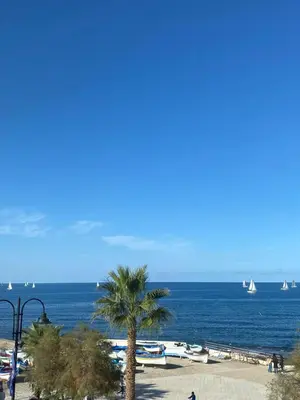 a palm tree on a beach with boats in the water at Casa vacanze anto antonella in Bagheria
