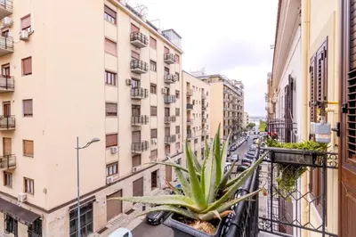 a city street with buildings and a plant on a balcony at Stabile 38 Apartments in Palermo