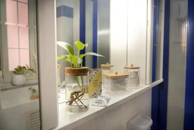 a shelf in a bathroom with a plant in a vase at Da Cosimo U pitturi in Palermo