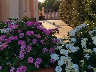 a bunch of purple and blue flowers in a garden at Profumo di Mare 2 in Alcamo Marina