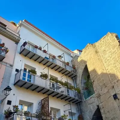 Aerial House