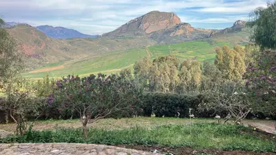 a field with trees and mountains in the background at Le Case di Cardellino - AgriSpa in Sclafani