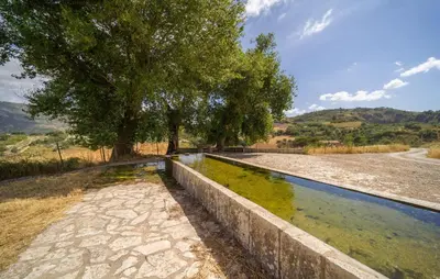 a pool of water next to a tree and a field at Awesome Home In Palazzo Adriano in Palazzo Adriano