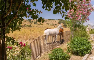 a horse standing on top of a fence at Awesome Home In Palazzo Adriano in Palazzo Adriano