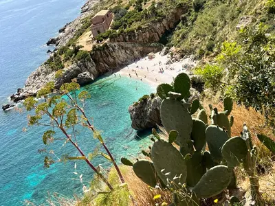 a view of a beach with a cactus at Il Fico d'India in San Vito lo Capo