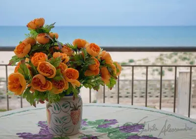 a vase filled with orange flowers sitting on a table at Casa Letizia in Alcamo