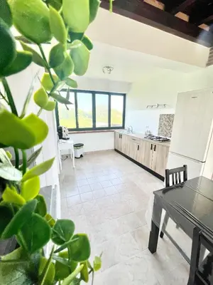 a kitchen and dining room with a plant in the foreground at Anna holidays in Lascari