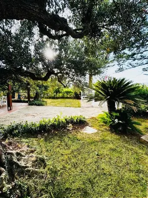 a park with a palm tree and a sidewalk at Villetta Verde Mare - Scopello in Scopello