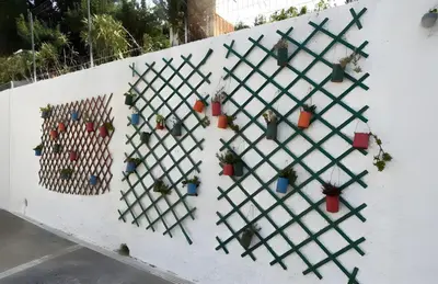 a wall with a bunch of potted plants on it at Casa delle Stelle in Scopello
