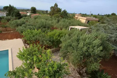 an overhead view of a garden with plants at villa grecale in Castellammare del Golfo