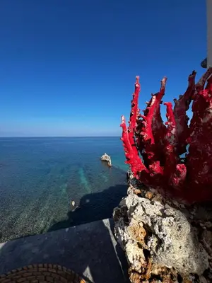 a red coral on a rock next to the ocean at Mari Sol in Terrasini