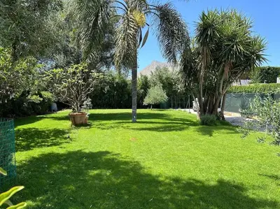 a yard with palm trees and green grass at Villa Lucia in Palermo