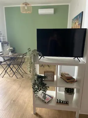 a flat screen tv on a white stand with plants at Dai Palermitani Rooms & Apartments in Palermo