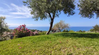 a tree on a hill with the ocean in the background at Costa Azzurra Cefalù Residence in Cefalù